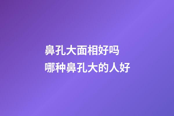 鼻孔大面相好吗 哪种鼻孔大的人好